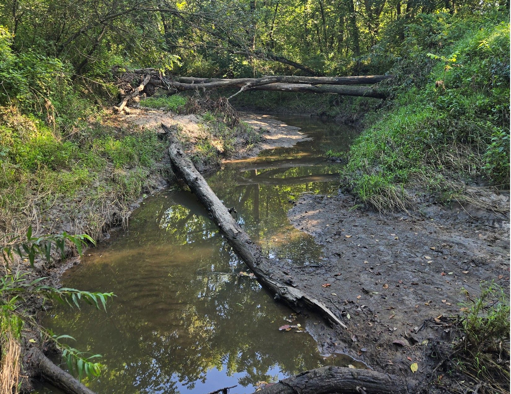 Listing Photo: 1066 Co Rd S56, Wayne County, Iowa